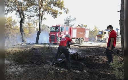 Silifke'deki orman yangınına Büyükşehir müdahalesi: 4 kişi ve 270 hayvan kurtarıldı