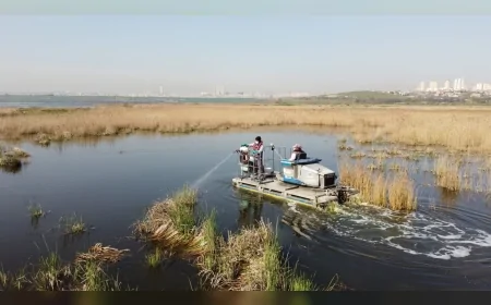 Esenyurt’ta artan kemirgen sorunu sonrası İBB ekiplerinden hızlı ilaçlama ve temizlik