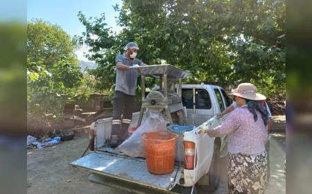 Efes Selçuk’ta Salça Sıkım Makinesi Yeniden Sahada: Kadınların Kış Hazırlığına Destek Sürüyor
