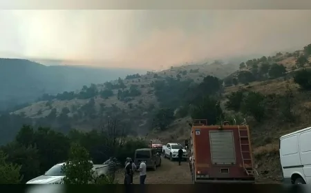 Elazığ Sivrice’deki örtü yangını kontrol altına alındı, soğutma çalışmaları sürüyor