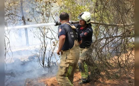 İBB’den Bursa’daki orman yangınına acil destek: 60 personel ve 24 araç bölgeye gönderildi
