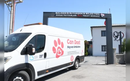 Balıkesir Büyükşehir Belediye Başkanı Ahmet Akın: “Bursa’daki yangında hem doğaya hem de can dostlara sahip çıkıyoruz”