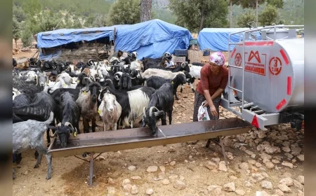 Mersin Büyükşehir’den Yörük üreticiye yüzde 50 destekli sulama tankeriyle kuraklıkta can suyu