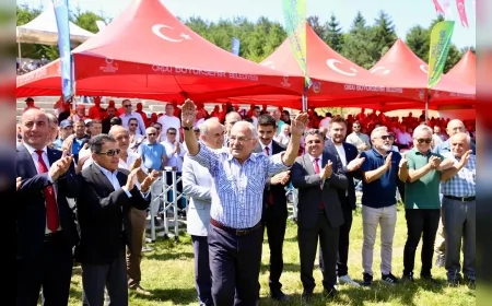 917 yıllık yayla geleneği Ordu'da binlerce kişiyi bir araya getirdi