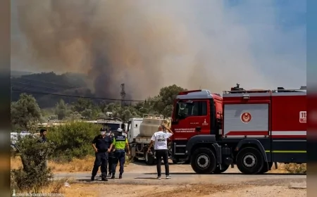 İzmir’in Bornova ve Urla ilçelerinde çıkan yangınlar büyük ölçüde kontrol altına alındı