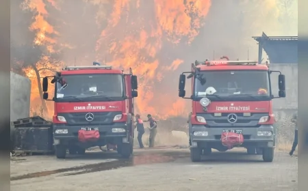 Bornova Gökdere’de çıkan orman yangını geri dönüşüm tesislerini tehdit etti, mücadele sürüyor