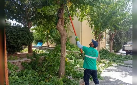 Efeler’de Yaz Temizliği Devam Ediyor: Parklar ve Yeşil Alanlar Yeniden Düzenleniyor