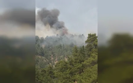 Kayseri Büyükşehir Belediyesi’nden Kahramanmaraş’taki orman yangınına su ve ekip desteği