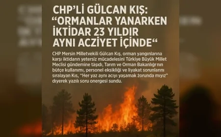 CHP’li Gülcan Kış: “Ormanlar yanarken iktidar 23 yıldır aynı acziyet içinde”