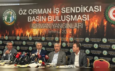 Öz Orman-İş Genel Başkanı Settar Aslan: "Yeşil vatanı korumak için 15 bin yeni yangın işçisine acilen ihtiyaç var"