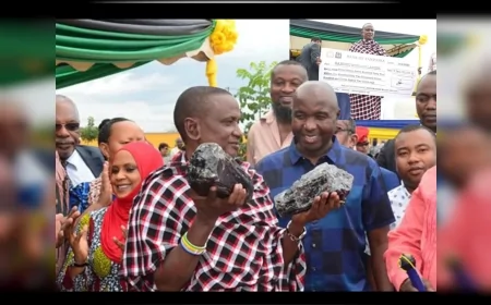 Tanzanit Zengini Tanzanyalı Madenci, Servetini Okul ve Alışveriş Merkezi İçin Harcayacak