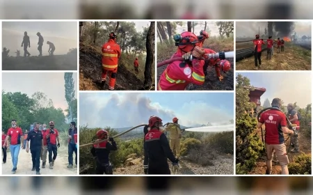 Orman Yangınlarına Müdahalede Eğitimciler Sahada: MEB AKUB Ekipleri 8 İlde Görevde