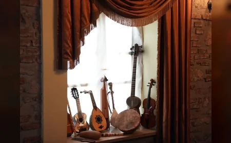 Denizli’ye uluslararası koleksiyonlu Enstrüman Müzesi kuruluyor