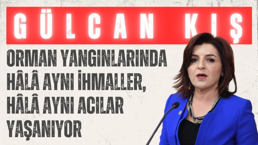 CHP Mersin Milletvekili Gülcan Kış: "Orman yangınlarında hâlâ aynı ihmaller, hâlâ aynı acılar yaşanıyor"