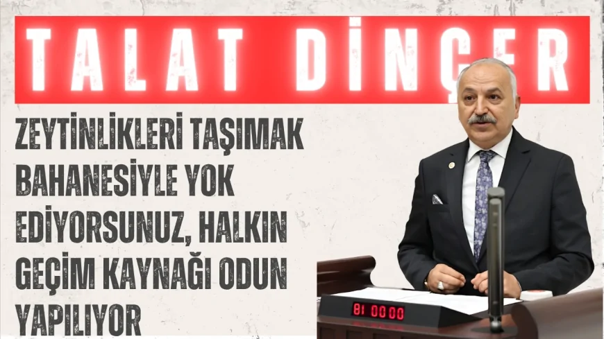 CHP Mersin Milletvekili Talat Dinçer: "Zeytinlikleri taşımak bahanesiyle yok ediyorsunuz, halkın geçim kaynağı odun yapılıyor"