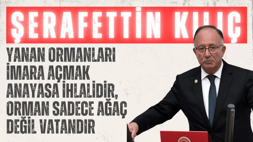 Saadet Partili Şerafettin Kılıç: "Yanan ormanları imara açmak Anayasa ihlalidir, orman sadece ağaç değil vatandır"
