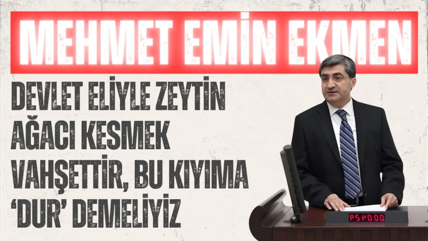 DEVA Partili Mehmet Emin Ekmen: "Devlet eliyle zeytin ağacı kesmek vahşettir, bu kıyıma ‘dur’ demeliyiz"
