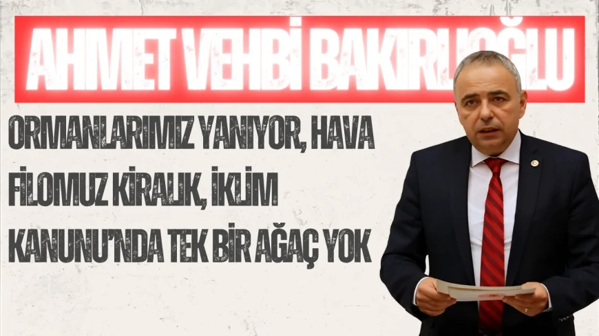 CHP’li Ahmet Vehbi Bakırlıoğlu: "Ormanlarımız yanıyor, hava filomuz kiralık, İklim Kanunu’nda tek bir ağaç yok"