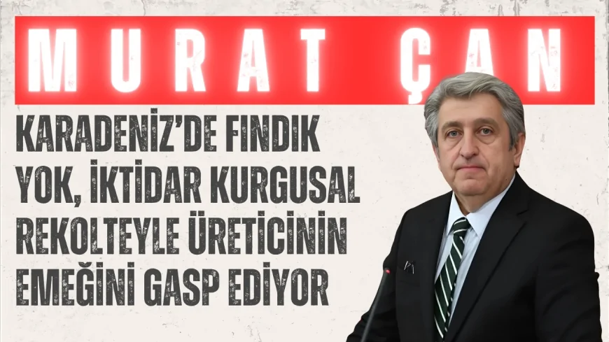 CHP’li Murat Çan: "Karadeniz’de fındık yok, iktidar kurgusal rekolteyle üreticinin emeğini gasp ediyor"