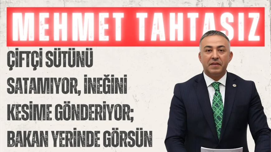 CHP’li Mehmet Tahtasız: "Çiftçi sütünü satamıyor, ineğini kesime gönderiyor; Bakan yerinde görsün"