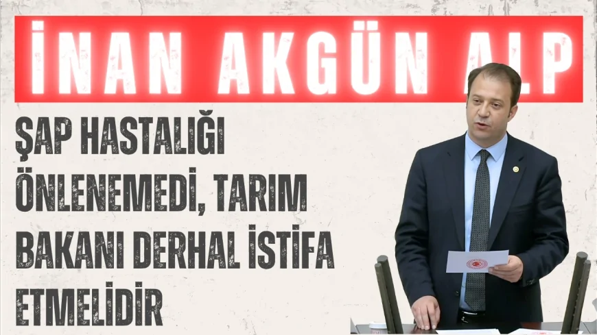 CHP’li İnan Akgün Alp: "Şap hastalığı önlenemedi, Tarım Bakanı derhal istifa etmelidir"