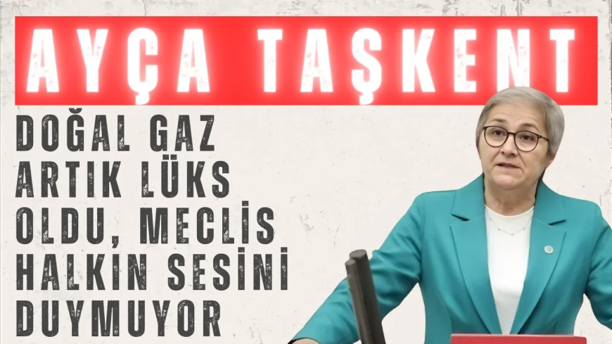 CHP Sakarya Milletvekili Ayça Taşkent: "Doğal gaz artık lüks oldu, Meclis halkın sesini duymuyor"