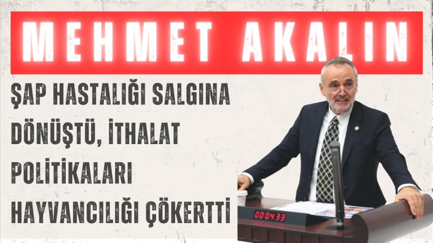 İYİ Parti’li Mehmet Akalın: “Şap hastalığı salgına dönüştü, ithalat politikaları hayvancılığı çökertti”