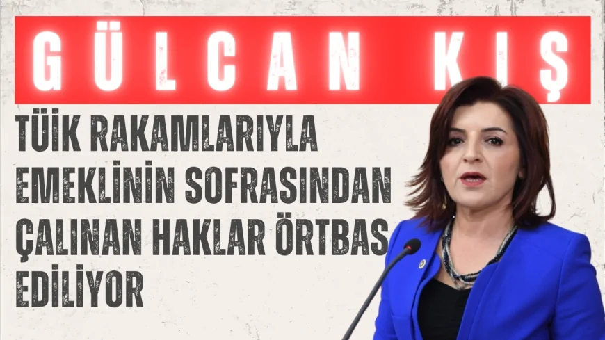 CHP’li Gülcan Kış: “TÜİK rakamlarıyla emeklinin sofrasından çalınan haklar örtbas ediliyor”