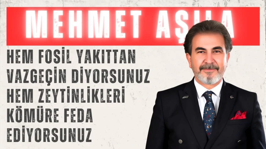Yeniden Refah Partili Mehmet Aşıla: “Hem fosil yakıttan vazgeçin diyorsunuz hem zeytinlikleri kömüre feda ediyorsunuz”