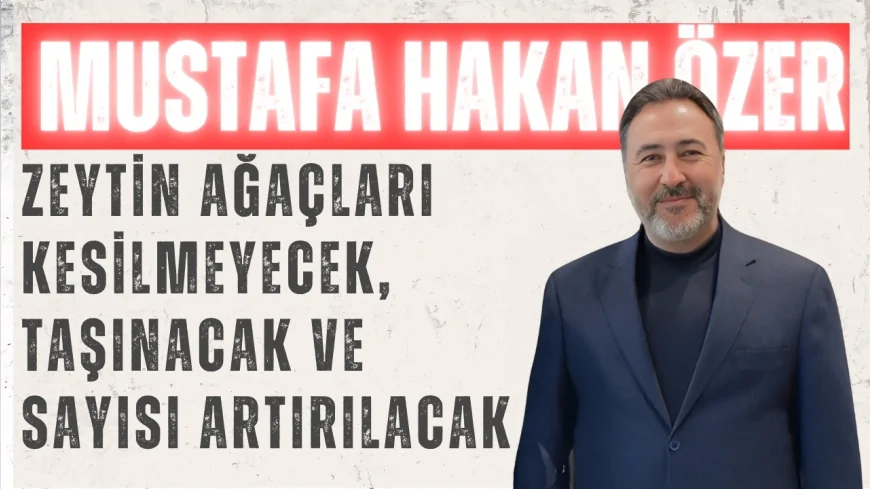 AK PARTİLİ ÖZER: “ZEYTİN AĞAÇLARI KESİLMEYECEK, TAŞINACAK VE SAYISI ARTIRILACAK”