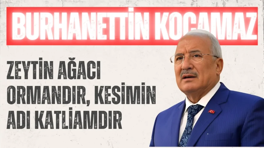 İYİ PARTİLİ KOCAMAZ: “ZEYTİN AĞACI ORMANDIR, KESİMİN ADI KATLİAMDIR”