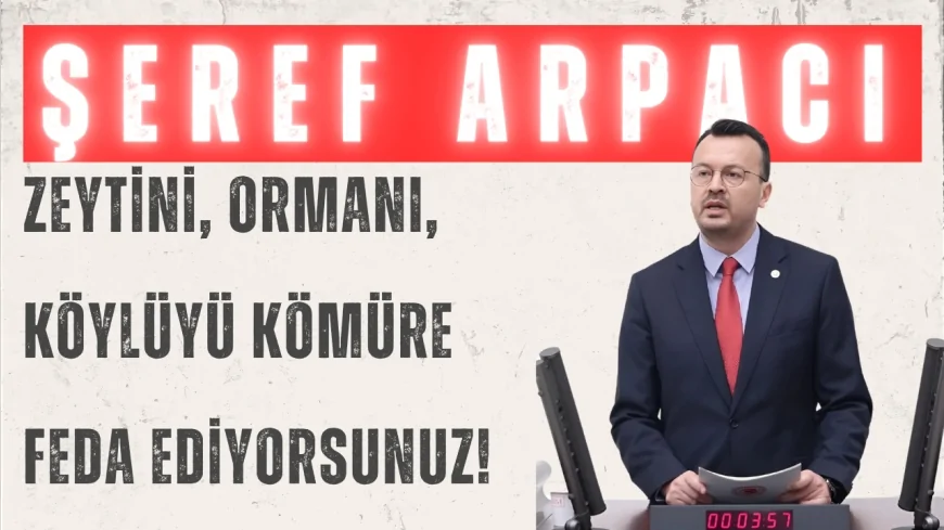 CHP'Lİ ARPACI: “ZEYTİNİ, ORMANI, KÖYLÜYÜ KÖMÜRE FEDA EDİYORSUNUZ!”