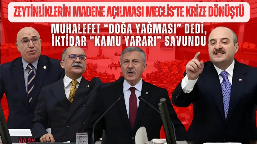 Zeytinliklerin madene açılması Meclis’te krize dönüştü: Muhalefet “doğa yağması” dedi, iktidar “kamu yararı” savundu