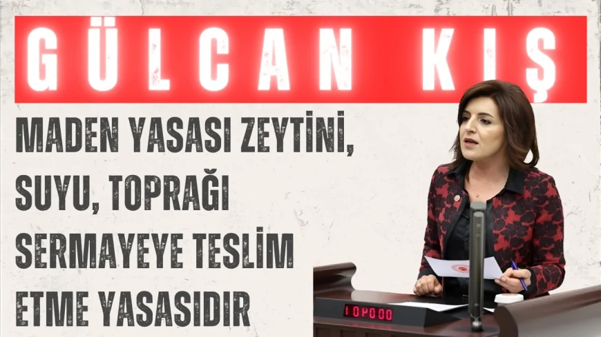 CHP’li Gülcan Kış: “Maden yasası zeytini, suyu, toprağı sermayeye teslim etme yasasıdır”