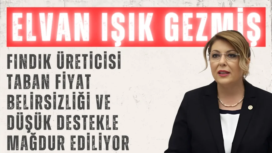 CHP Milletvekili Elvan Işık Gezmiş: "Fındık üreticisi taban fiyat belirsizliği ve düşük destekle mağdur ediliyor"
