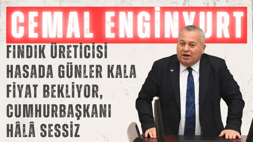 CHP’li Enginyurt: “Fındık üreticisi hasada günler kala fiyat bekliyor, Cumhurbaşkanı hâlâ sessiz”