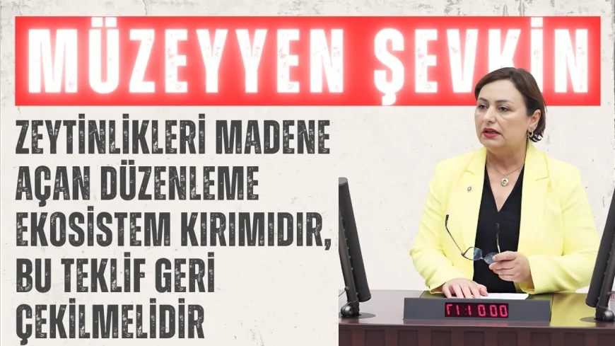 CHP’li Müzeyyen Şevkin: “Zeytinlikleri madene açan düzenleme ekosistem kırımıdır, bu teklif geri çekilmelidir”