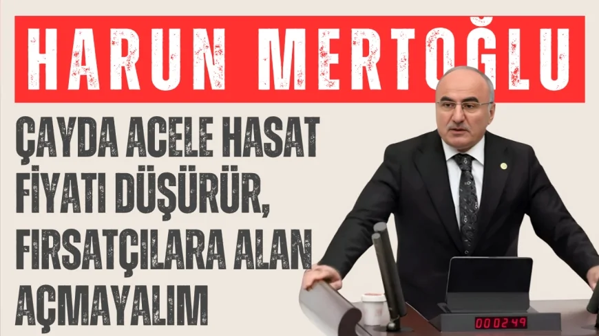 AK Parti’li Harun Mertoğlu: “Çayda acele hasat fiyatı düşürür, fırsatçılara alan açmayalım”