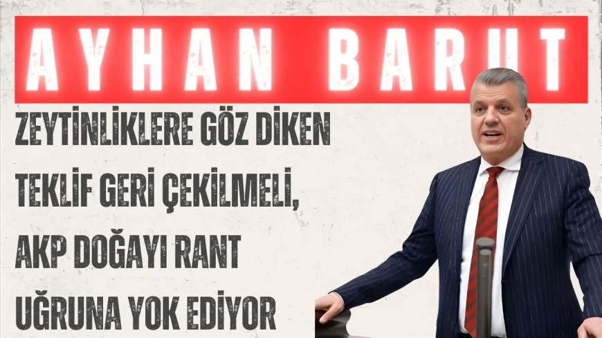 CHP'li Ayhan Barut: “Zeytinliklere göz diken teklif geri çekilmeli, AKP doğayı rant uğruna yok ediyor”