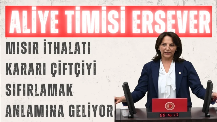 CHP Ankara Milletvekili Aliye Timisi Ersever: "Mısır ithalatı kararı çiftçiyi sıfırlamak anlamına geliyor"