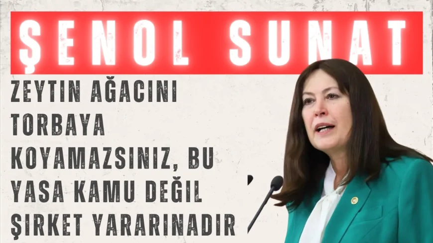 İYİ Parti’li Şenol Sunat: “Zeytin ağacını torbaya koyamazsınız, bu yasa kamu değil şirket yararınadır”