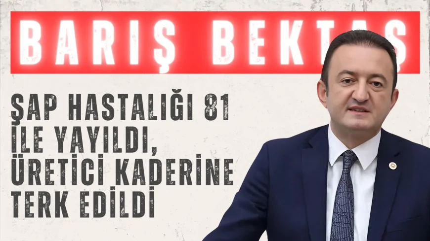 CHP’li Barış Bektaş: "Şap hastalığı 81 ile yayıldı, üretici kaderine terk edildi"