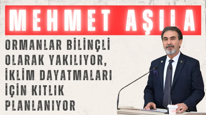 Yeniden Refah Partili Mehmet Aşıla: “Ormanlar bilinçli olarak yakılıyor, iklim dayatmaları için kıtlık planlanıyor”