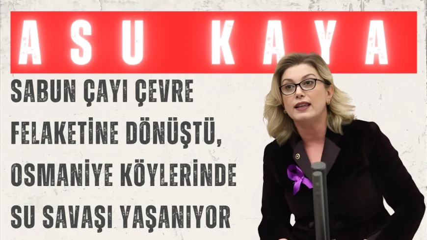 CHP’li Asu Kaya: “Sabun Çayı çevre felaketine dönüştü, Osmaniye köylerinde su savaşı yaşanıyor”