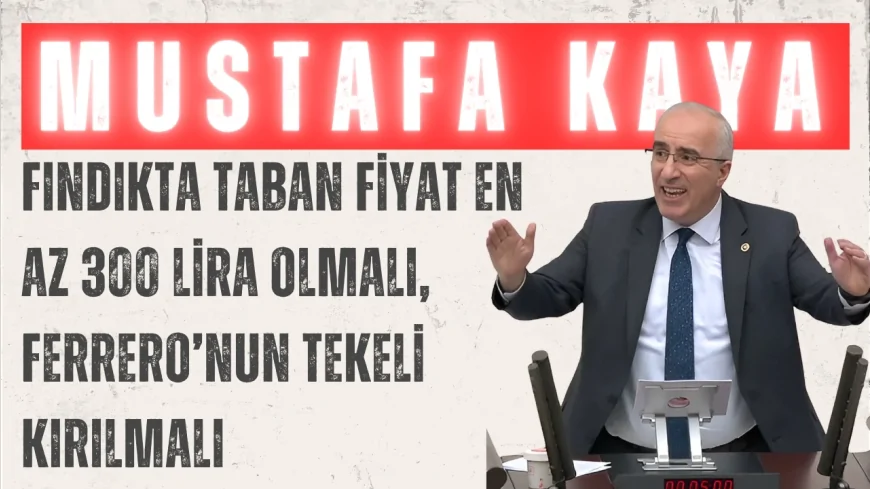 Saadet Partili Kaya: “Fındıkta taban fiyat en az 300 lira olmalı, Ferrero’nun tekeli kırılmalı”