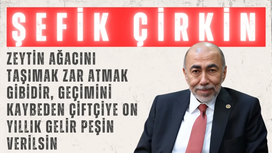 İYİ Parti’li Şefik Çirkin: “Zeytin ağacını taşımak zar atmak gibidir, geçimini kaybeden çiftçiye on yıllık gelir peşin verilsin”