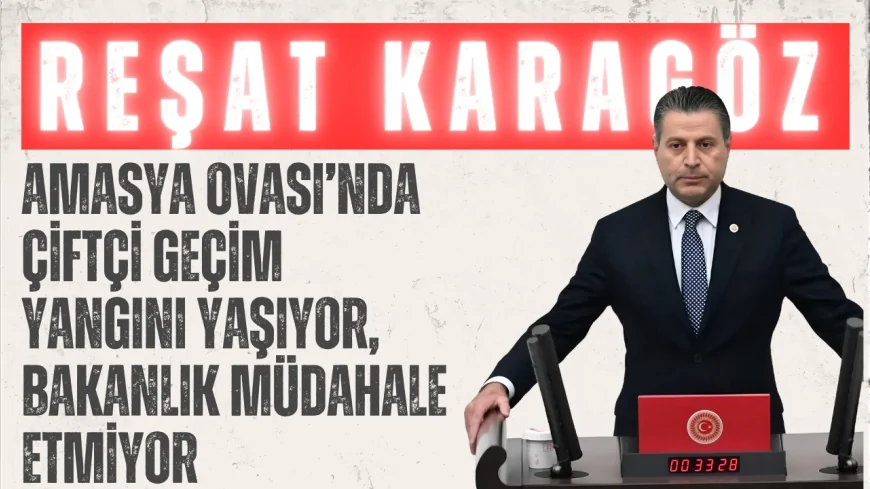CHP’li Karagöz: “Amasya Ovası’nda çiftçi geçim yangını yaşıyor, Bakanlık müdahale etmiyor”
