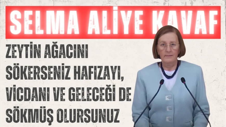 CHP’li Selma Aliye Kavaf: “Zeytin ağacını sökerseniz hafızayı, vicdanı ve geleceği de sökmüş olursunuz”