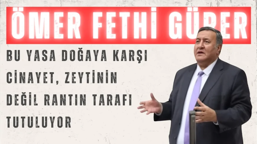 CHP’li Ömer Fethi Gürer: “Bu yasa doğaya karşı cinayet, zeytinin değil rantın tarafı tutuluyor”