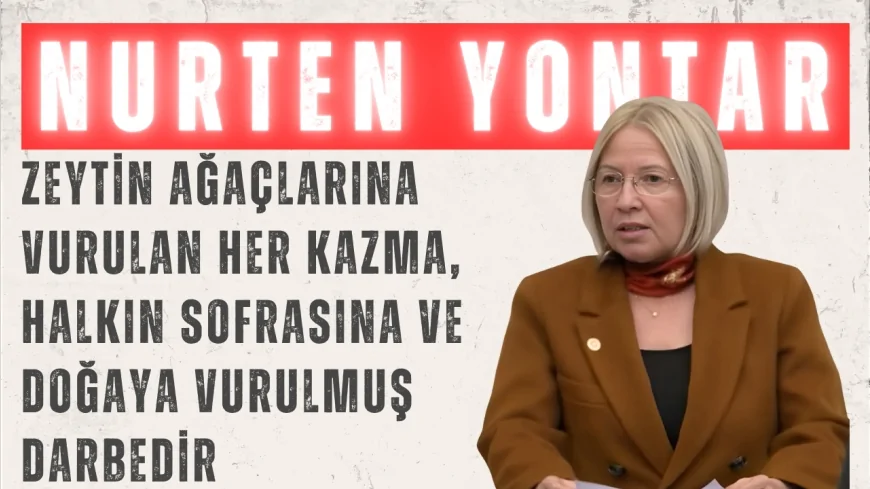 CHP’li Nurten Yontar: “Zeytin ağaçlarına vurulan her kazma, halkın sofrasına ve doğaya vurulmuş darbedir”